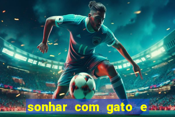 sonhar com gato e cachorro juntos jogo do bicho